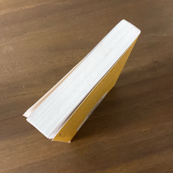 Serena Singh Flips the Script (a novel) by Sonya Lalli - Picture 3 of 3